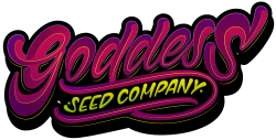 GodDessSeed Company